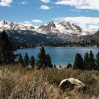 Birch Creek #1 - 1Br/1Ba - Down Canyon June Lake Eksteriør billede